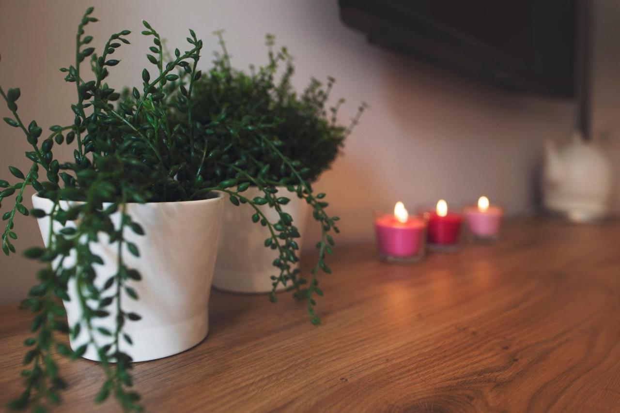 Apartamenty Willove Wzgorze Duszniki Zdrój Esterno foto