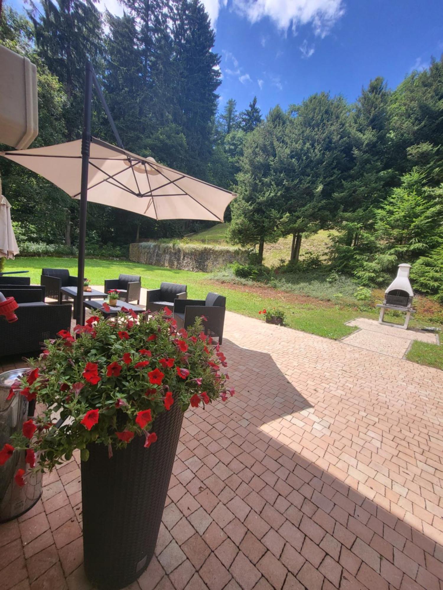 Apartamenty Willove Wzgorze Duszniki Zdrój Esterno foto
